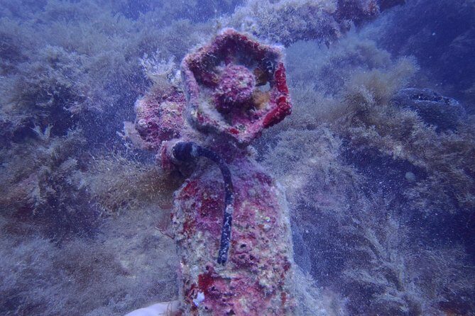 Octopus Rock Exploration - Certified Diver - Exploring the Magic of Octopus Rocks with a Certified Diver