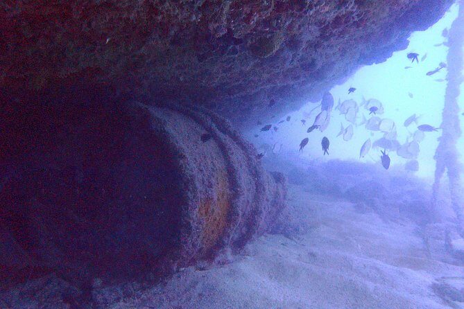 Octopus Rock Exploration - Certified Diver - What to Expect on the Octopus Rock Exploration