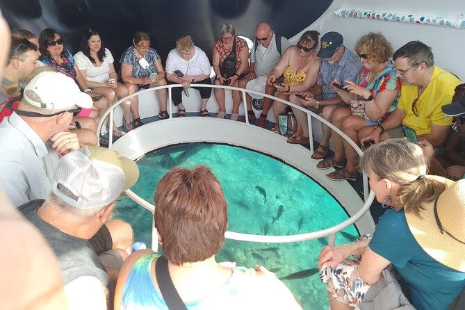 oculus-glass-bottom-boat-tour