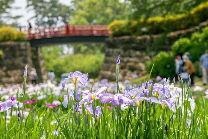 odawara-castle-and-town-guided-discovery-tour