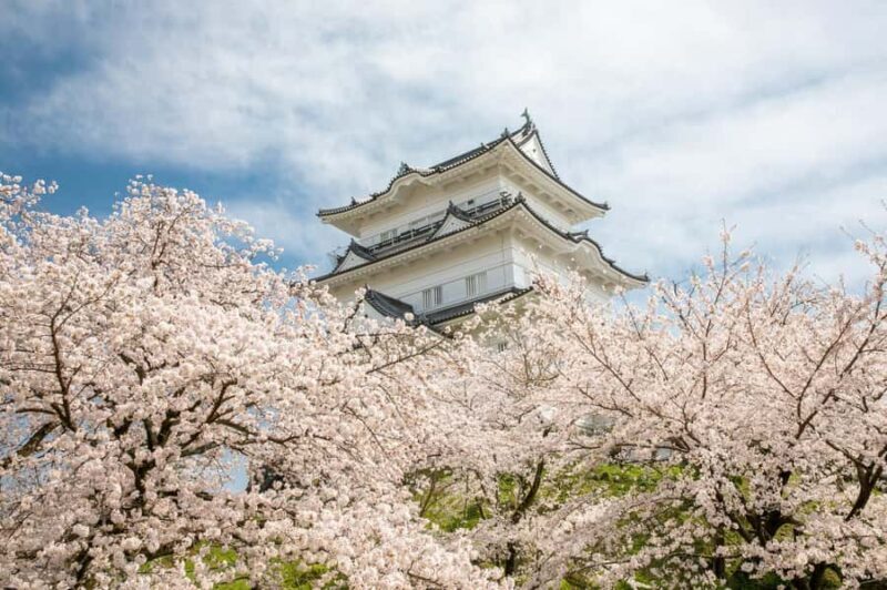 Odawara: Guided Ninja & Samurai Tour of Odawara Castle - Who Should Consider This Tour?
