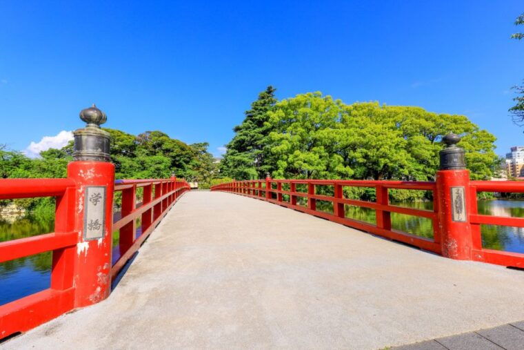 odawara-odawara-castle-and-town-guided-discovery-tour