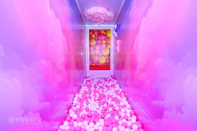 Odyssey Sensory Maze Entry Auckland Ticket - Final Thoughts: Is It Worth It?