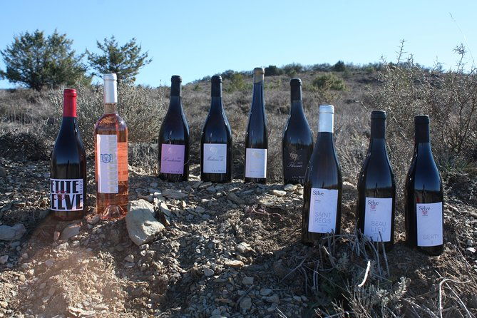 oenological-workshops-at-la-selve