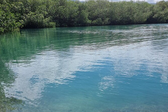 off-road-atv-safari-tour-from-ocho-rios