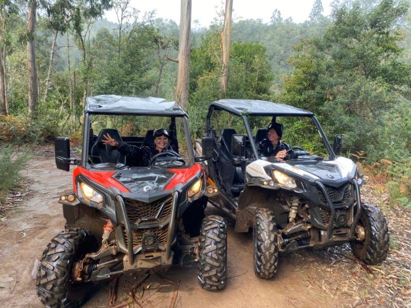 off-road-buggy-driving-experience-2