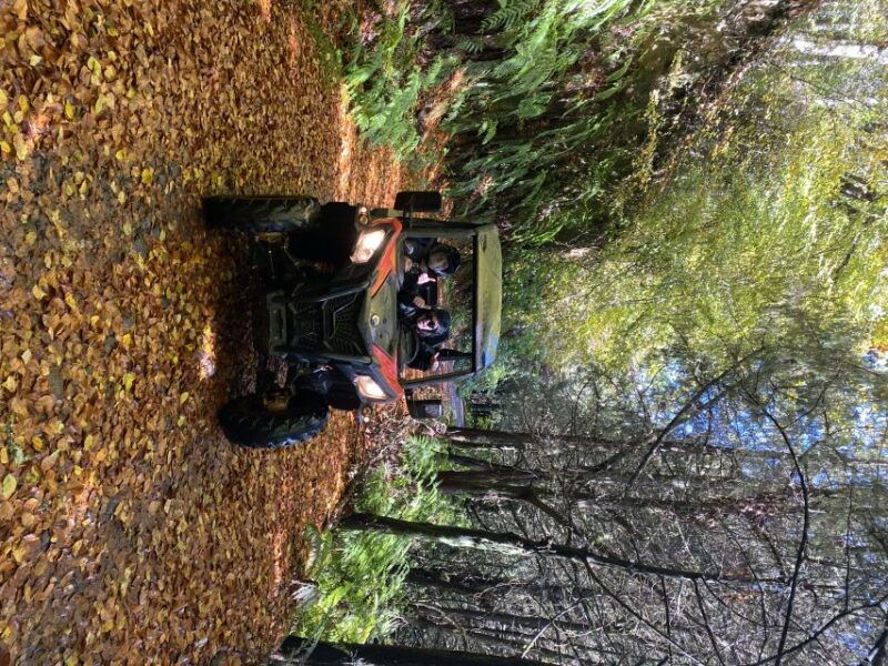 off-road-buggy-driving-experience-2