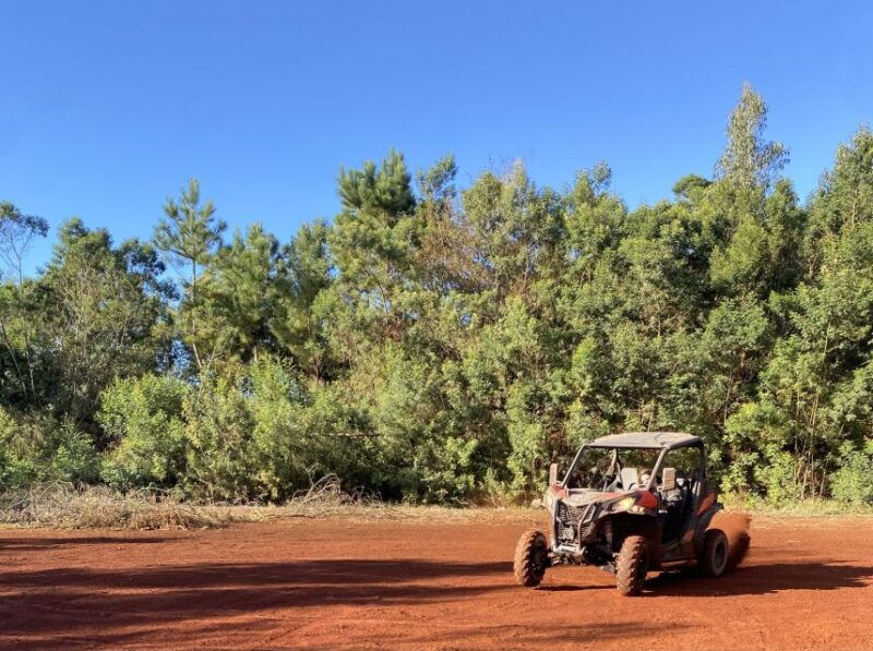 off-road-buggy-driving-experience-2