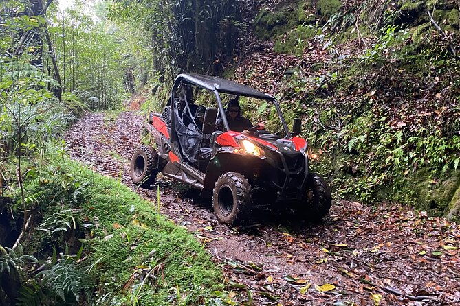off-road-buggy-driving-experience