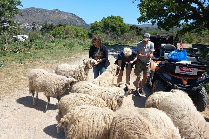 Off-road Buggy Safari in Crete with a Guide - Exploring Crete in a Top-Quality Off-road Buggy