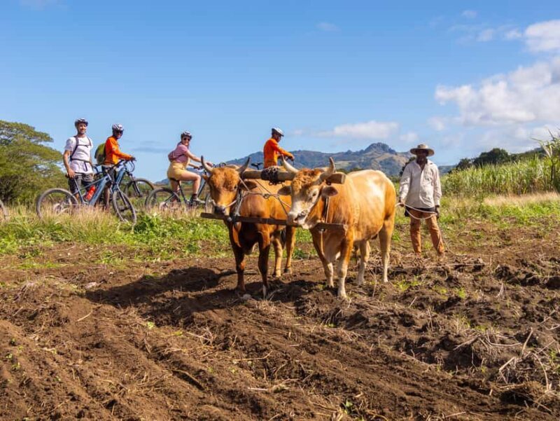 Off-road E-bike Tour with Local Guides - The Itinerary: What to Expect  