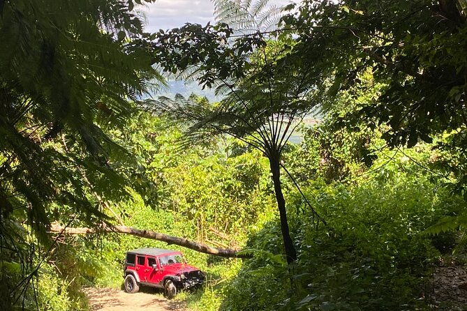 off-road-jeep-adventure-from-carolina-puerto-rico