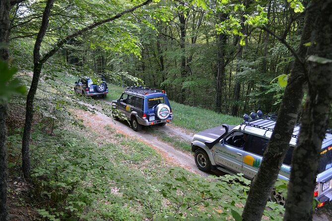 off-road-safari-experience-in-sithonia-halkidiki