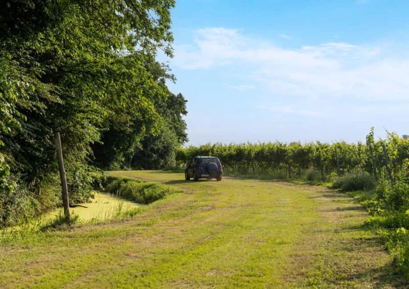 Off-road tour through vineyards and organic wine tasting Villa Bogdano 1880 - FAQ