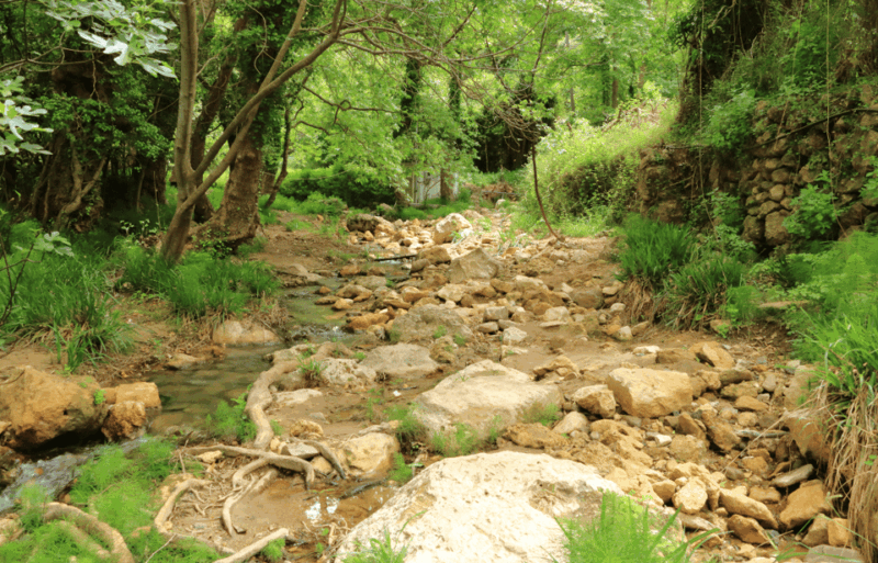 off-road-waterfall-lake-kournas-gorges-preveli-palms