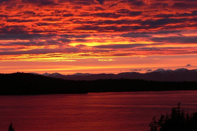 off-the-beaten-path-ketchikan-photo-safari-3-hr