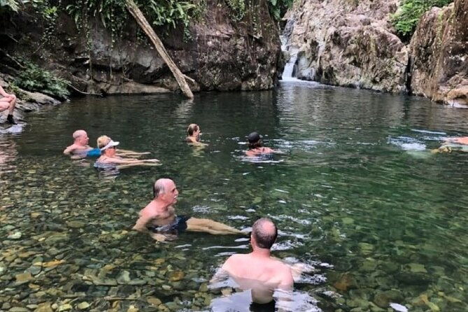 off-the-beaten-path-rain-forest-guided-hike-with-transportation
