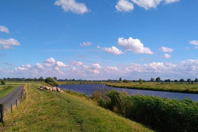 off-the-beaten-paths-dutch-country-side-private-tour-in-jaguar