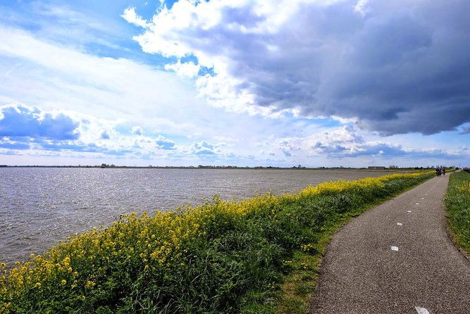 off-the-beaten-paths-dutch-landscape-private-tour-1-2-day-jaguar-2