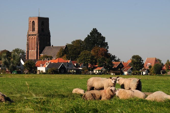 off-the-beaten-paths-dutch-landscape-private-tour-1-2-day-jaguar-2
