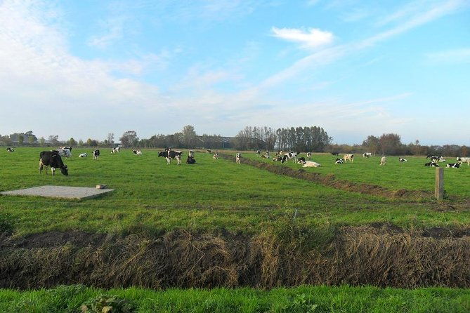 off-the-beaten-paths-dutch-landscape-private-tour-1-2-day-jaguar