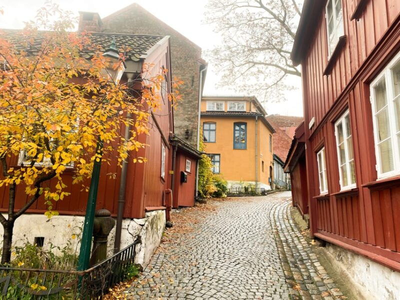 off-the-beaten-track-on-foot-oslos-historic-trendy-east