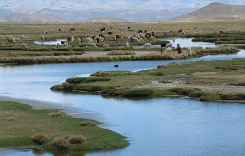 offer-price-tour-salinas-lagoon-and-national-reserve-8-hours