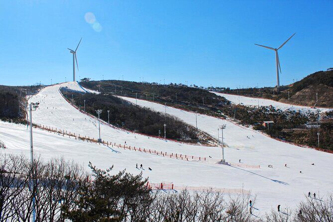 [OFFICIAL] Eden Valley Resort Winter Ski Day Tour from Busan - FAQ