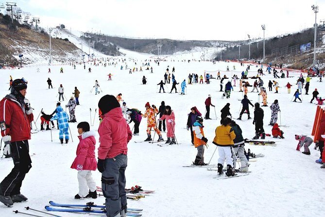 [OFFICIAL] Eden Valley Resort Winter Ski Day Tour from Busan - Final Thoughts
