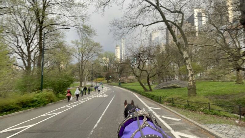 official-exclusive-vip-horse-carriage-ride-in-central-park