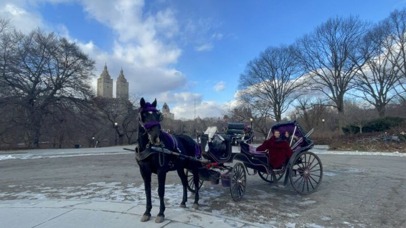 official-exclusive-vip-horse-carriage-ride-in-central-park