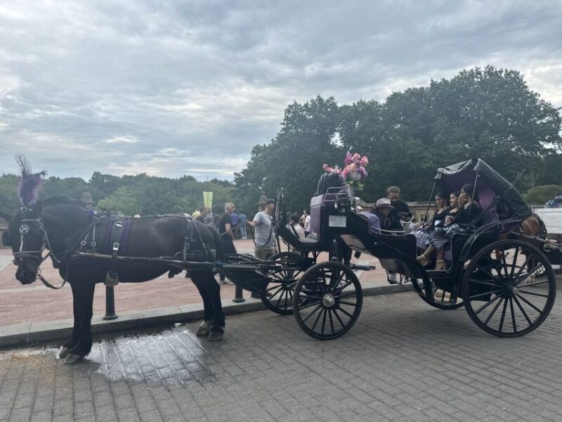 official-exclusive-vip-horse-carriage-ride-in-central-park