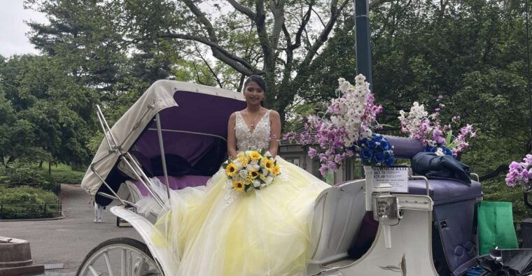 official-exclusive-vip-horse-carriage-ride-in-central-park