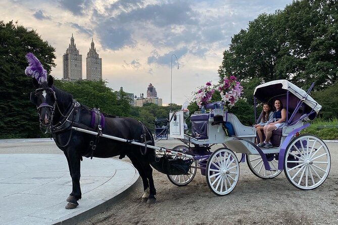 official-nyc-central-park-horse-carriage-rides
