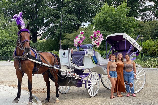 official-nyc-central-park-horse-carriage-rides