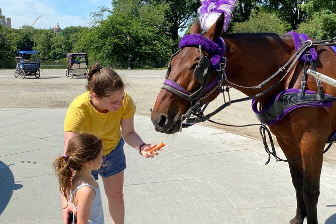 official-nyc-central-park-horse-carriage-rides