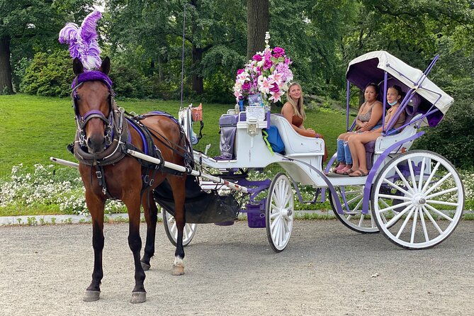 official-nyc-central-park-horse-carriage-rides
