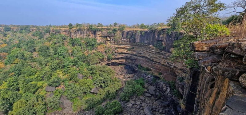 Official Panna National Park Sharing Tiger Safari - The Sum Up