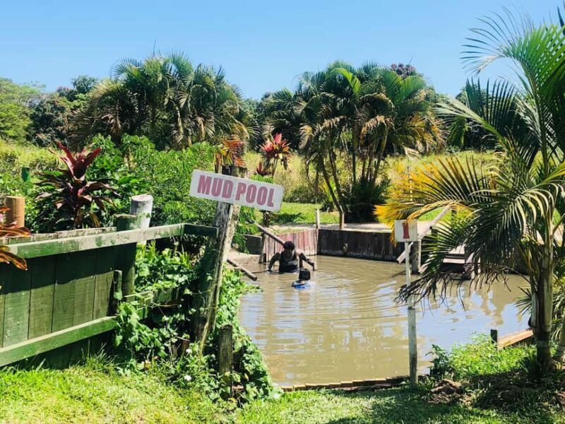 Official: Sabeto Hotspring and Mud Pool Tours & Tickets - An Introduction to the Experience
