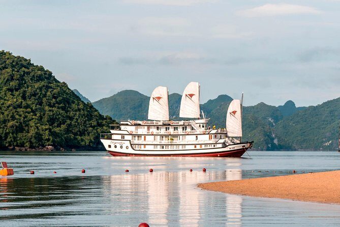 (Official) Signature Halong Cruise - 03 days 02 nights program - Transportation and Logistics