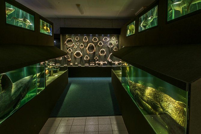 official-ticket-oceanographic-museum-univali-picarras-sc