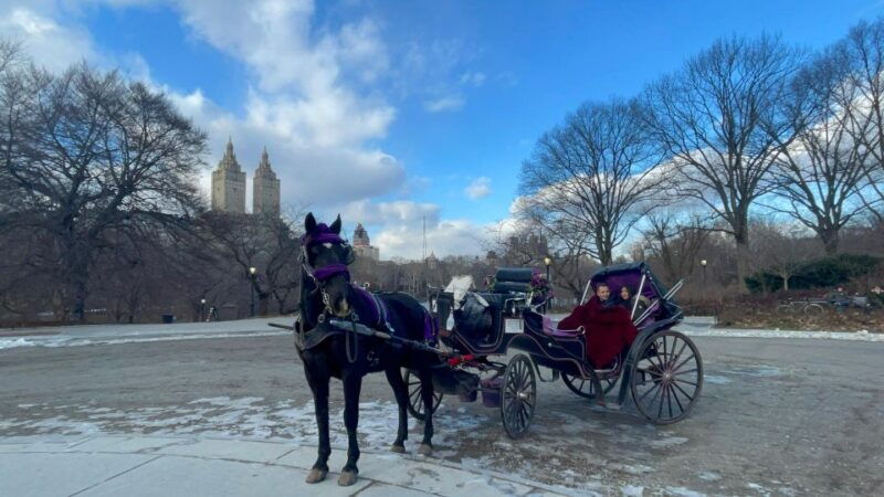 official-vip-whole-central-park-horse-carriage-tour