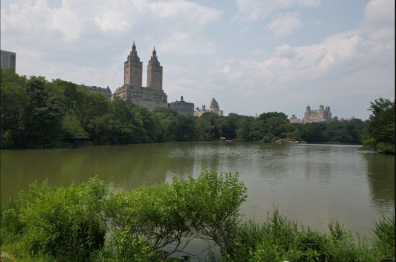 official-vip-whole-central-park-horse-carriage-tour