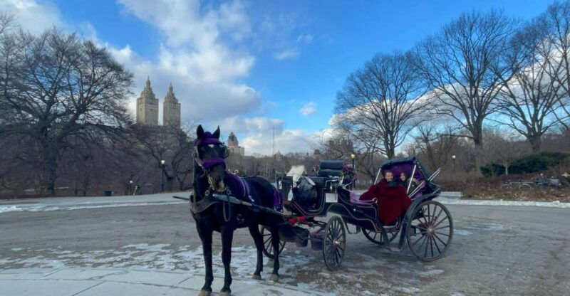 official-vip-whole-central-park-horse-carriage-tour