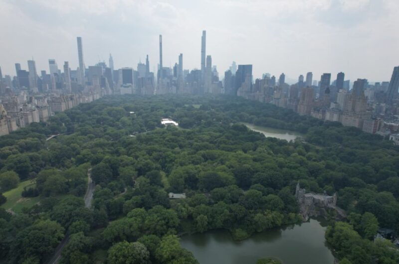 official-vip-whole-central-park-horse-carriage-tour