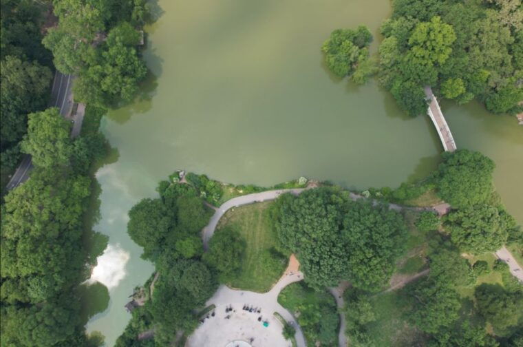 official-vip-whole-central-park-horse-carriage-tour