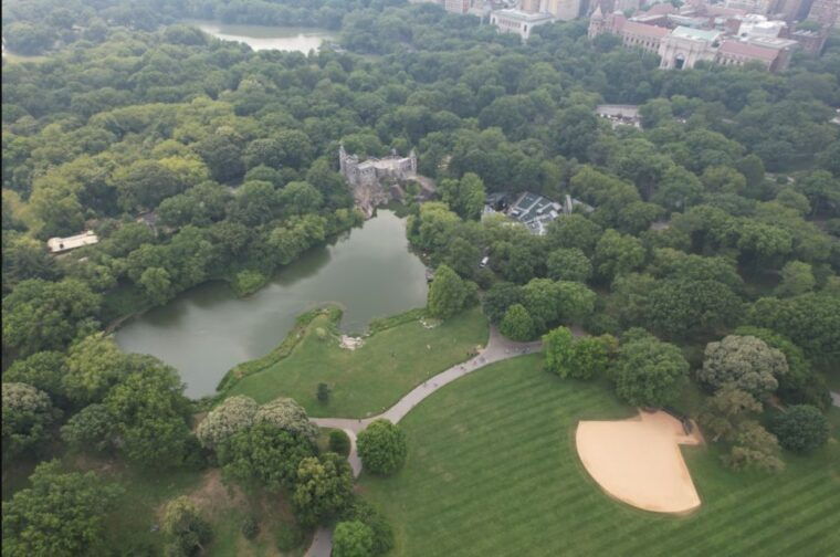 official-vip-whole-central-park-horse-carriage-tour