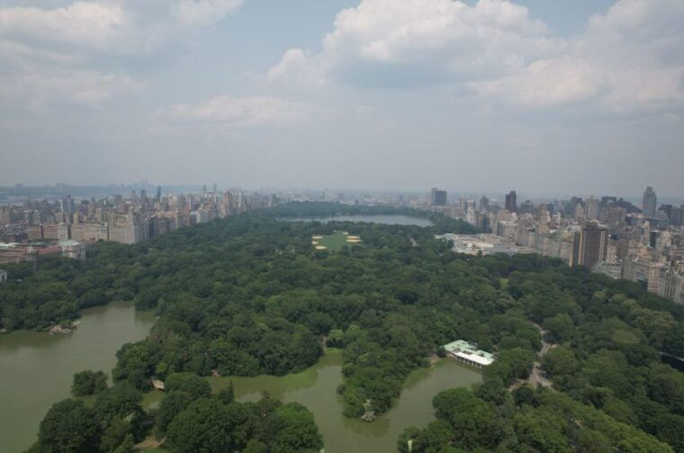 official-vip-whole-central-park-horse-carriage-tour