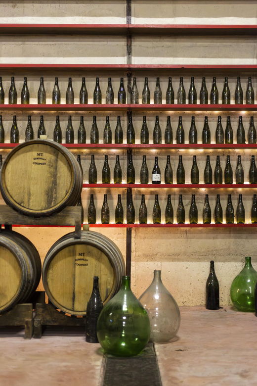 offida-tasting-itinerary-of-rosso-piceno-doc-superiore