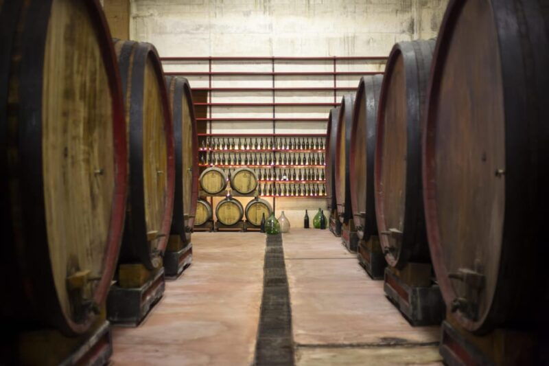 offida-tasting-itinerary-of-rosso-piceno-doc-superiore